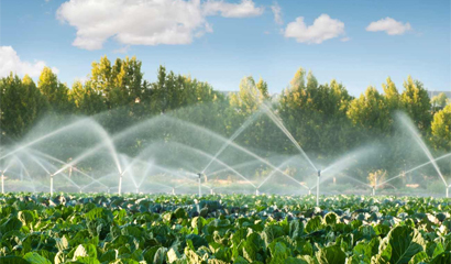 Smart Irrigation System