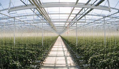 Greenhouse Control Hub